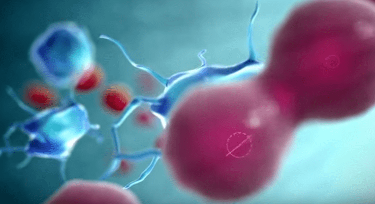 Immunstimulation